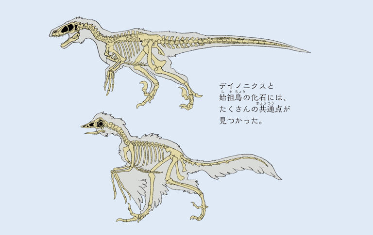 恐竜は絶滅していない!? 研究者らが「恐竜は今も身近に生きて