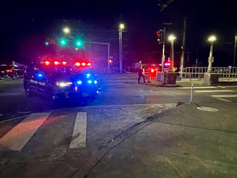 Police identify suspect, victim of fatal shooting at TriMet MAX station