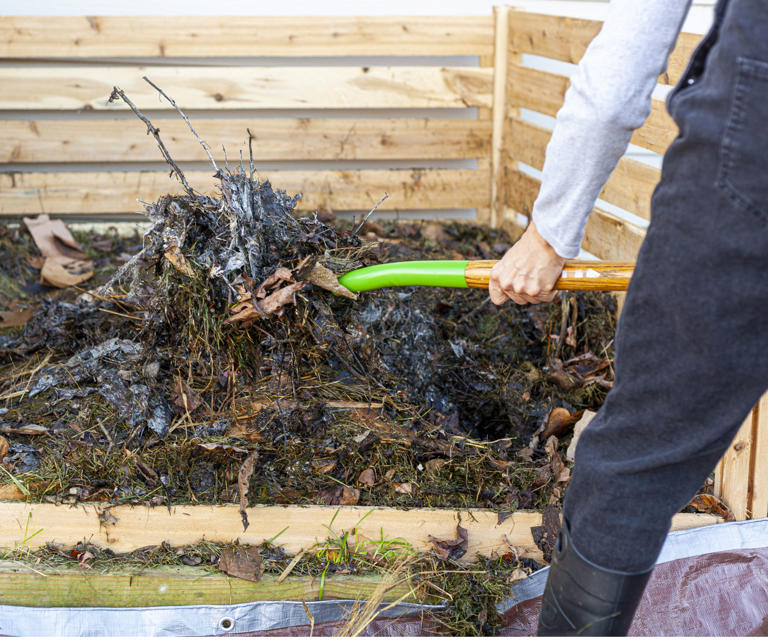 Compost experts reveal the best time to start a compost heap here's
