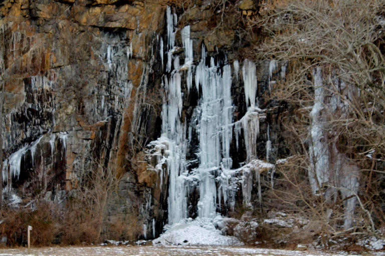 View at Alapocas Run Park