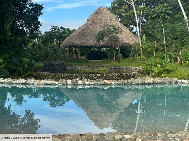 Cayo Levantado en République Dominicaine, un resort 5 étoiles pour explorer son moi intérieur