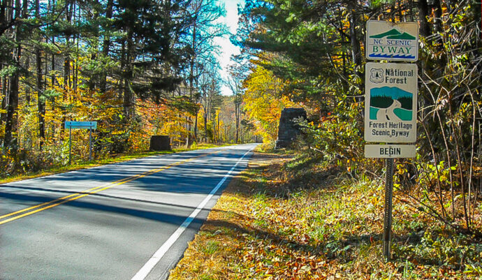 Highlights of Driving the Forest - AA1qclcz.img