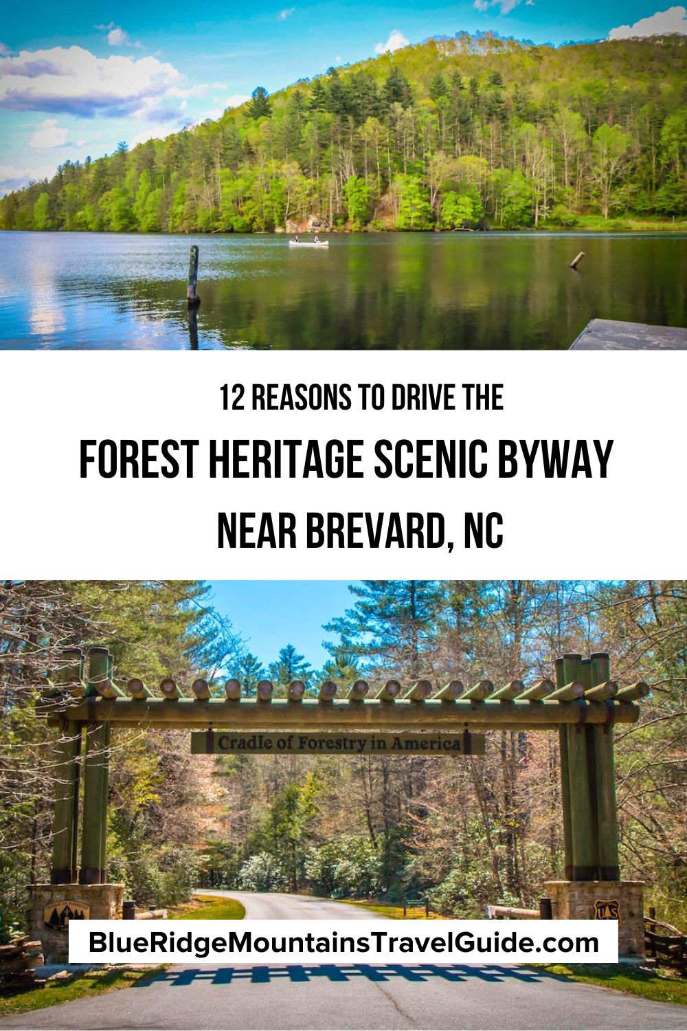 Highlights of Driving the Forest - AA1qcpf9.img