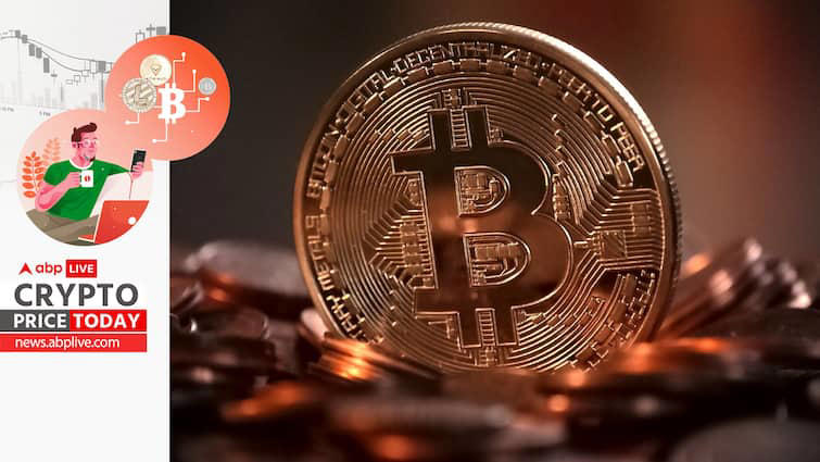 Crypto Market Growth