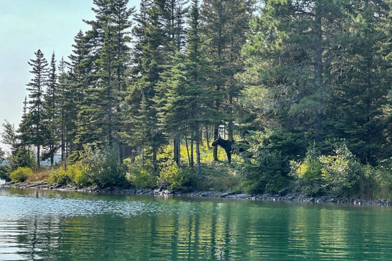 When can you visit Isle Royale National Park? Here's what to know in ...