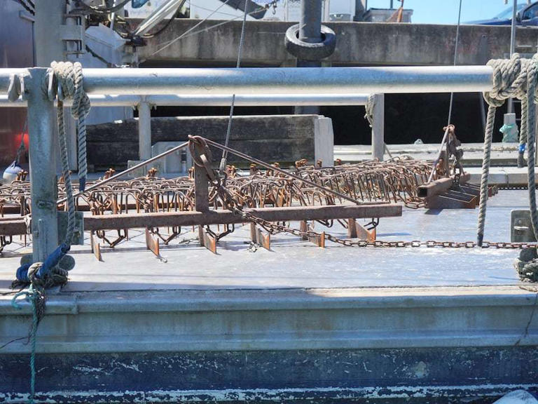 A harrow on the deck of the Shellfish Express, an oyster harvesting boat operating in Tillamook Bay.