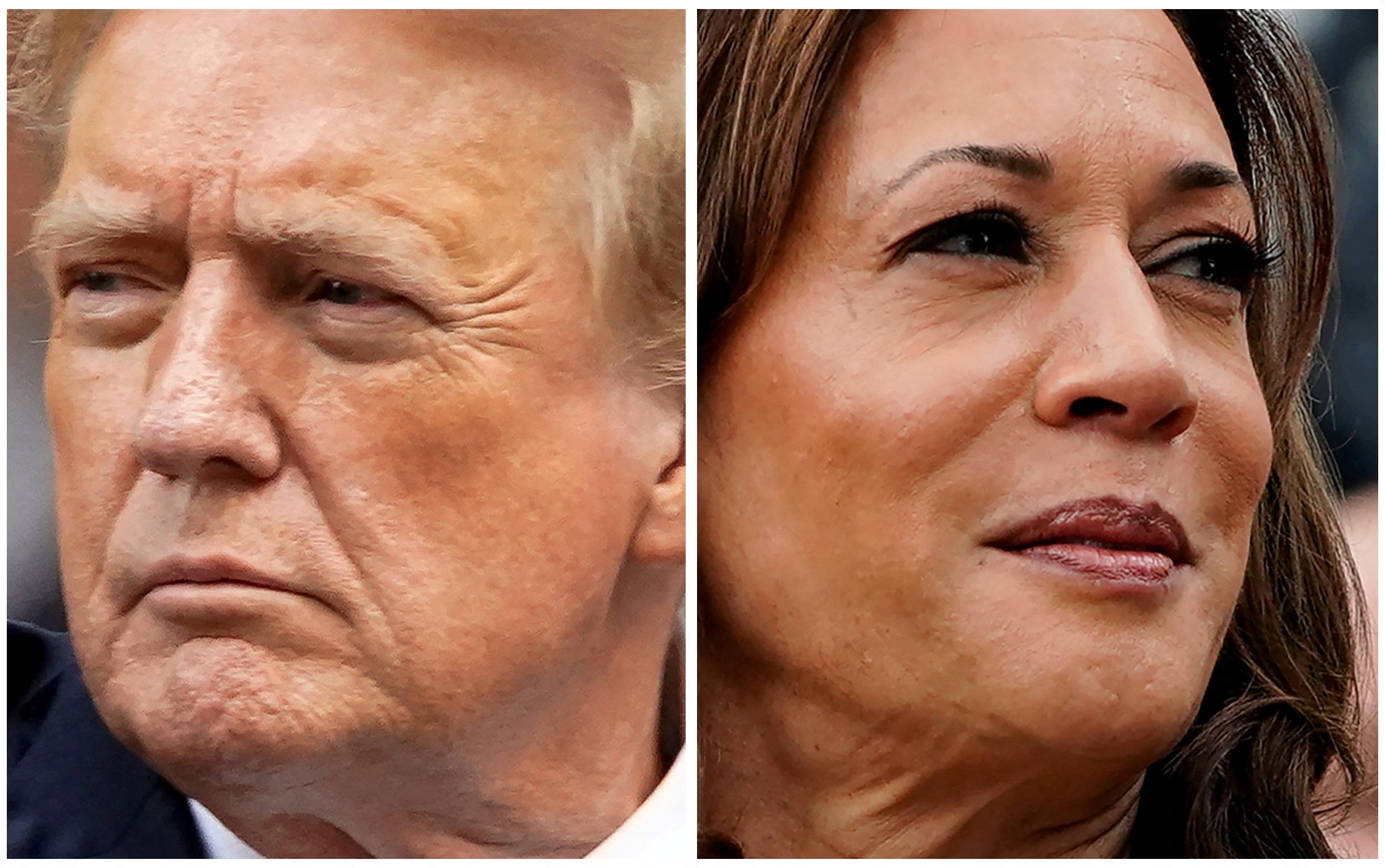 Allan Lichtman Predicts Trump Or Harris For President? 13 Keys Help ...