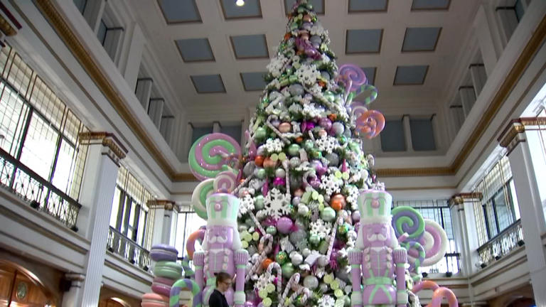 The iconic Great Tree inside Macy’s Chicago’s Walnut Room prior to his lighting in early November 2023. 