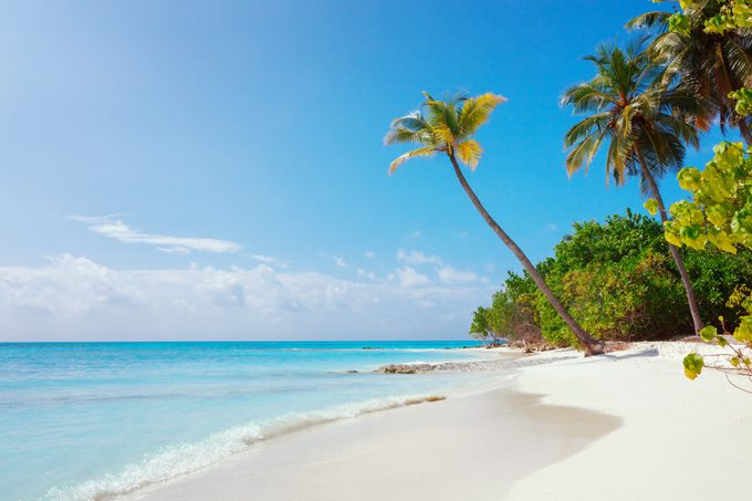 Beach at Maldives island Fulhadhoo with white sandy idyllic perfect beach and sea and curve palm