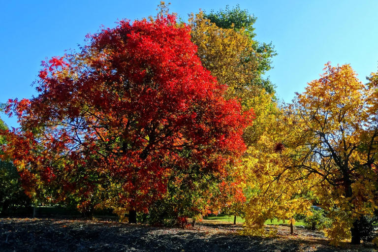 These are our favorite fall foliage destinations: 8 stellar spots across the U.S.