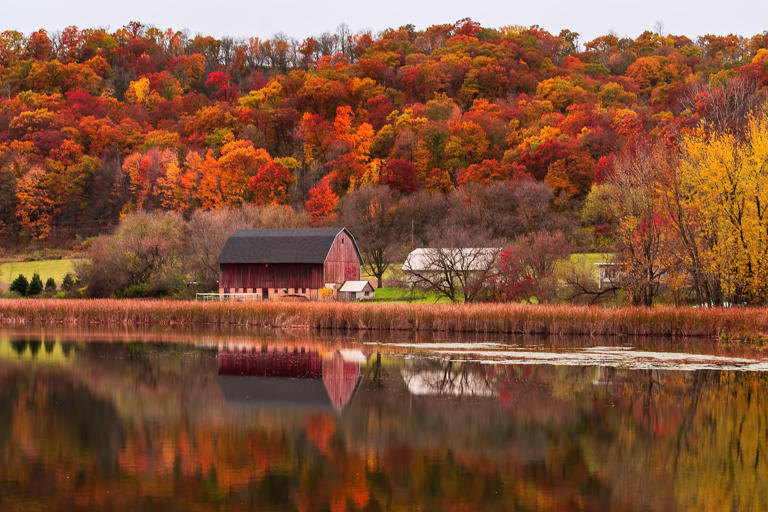 Red Barn And Forest In Autumn Colors, Minneapolis, Minnesota, United States