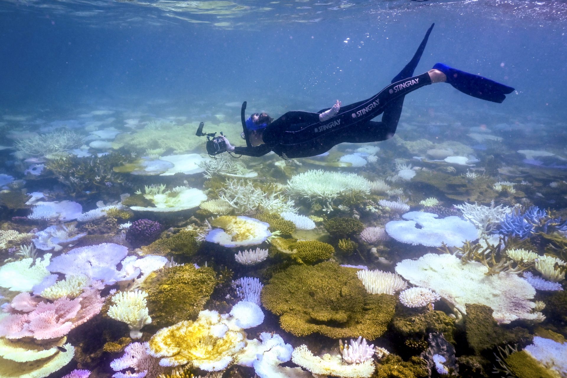 Earth reaches first ‘catastrophic climate tipping point,’ report finds