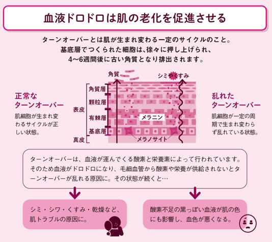 若くても要注意！血管年齢が高くなり血流が悪くなると影響を及ぼす見た目やさまざまな病気のリスクとは？【図解 血管・血液の話】