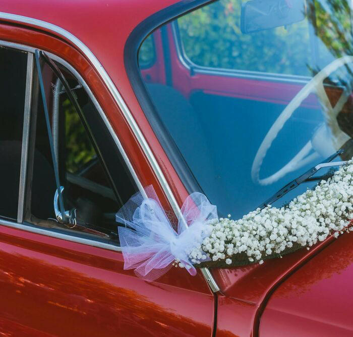 65 They re Not Gonna Last Long Wedding Moments Shared In This Online