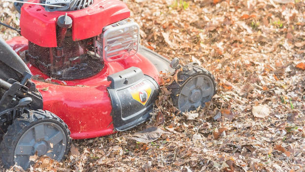 Lästige Aufgabe im Herbst RasenmäherTrick hilft dagegen