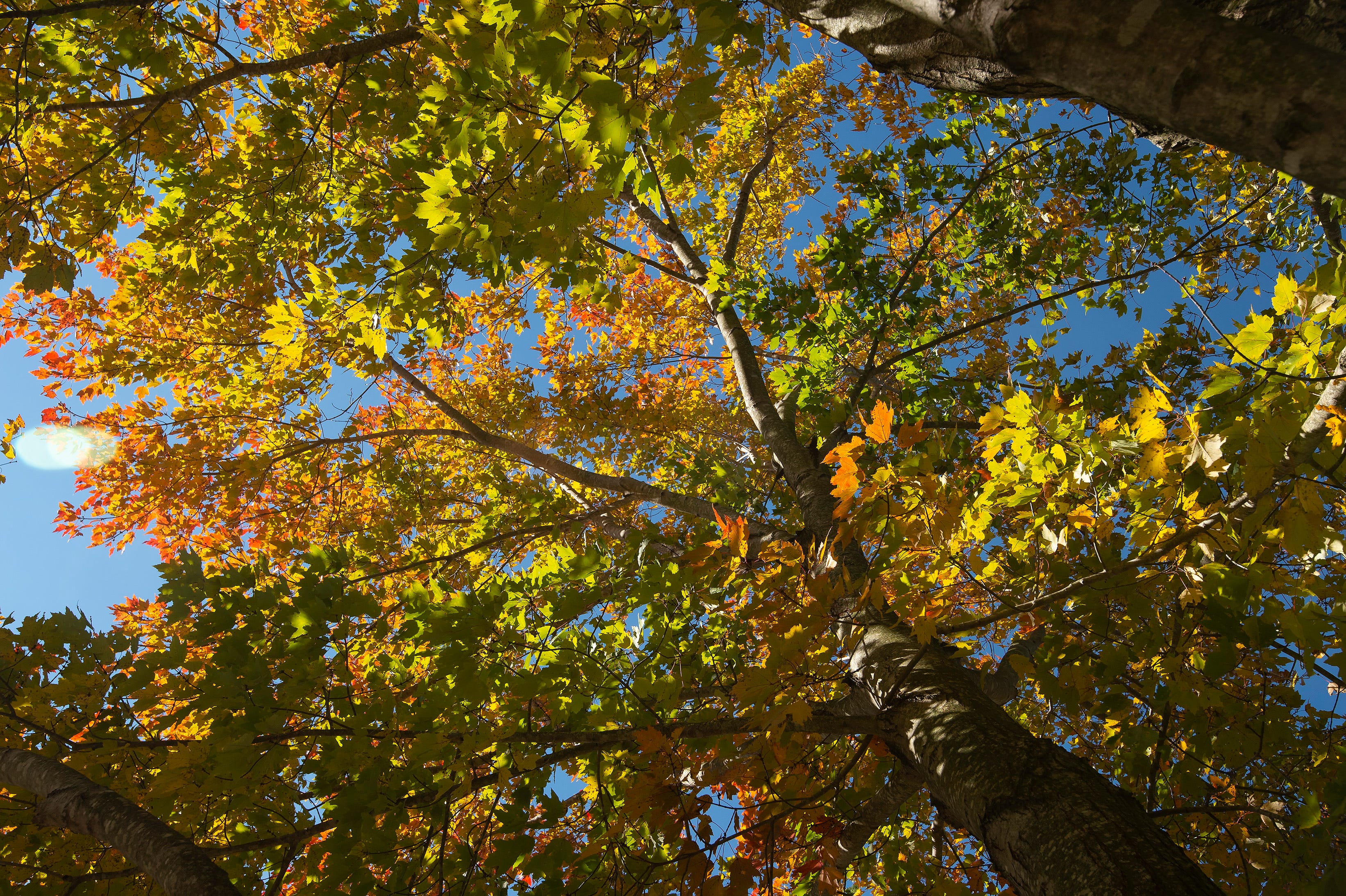 When will it feel like fall, get cold in Delaware? Here's when sweater ...