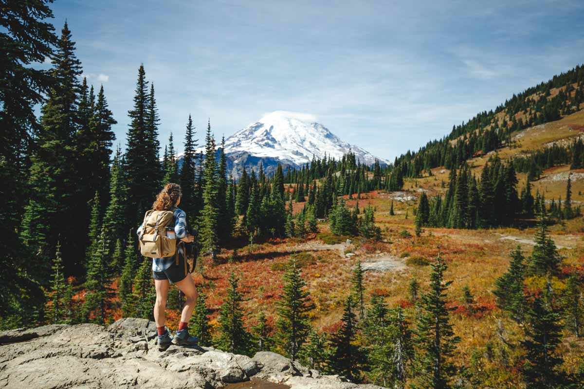 8 Scenic Washington Hikes Through Rainier s Wildflower Meadows