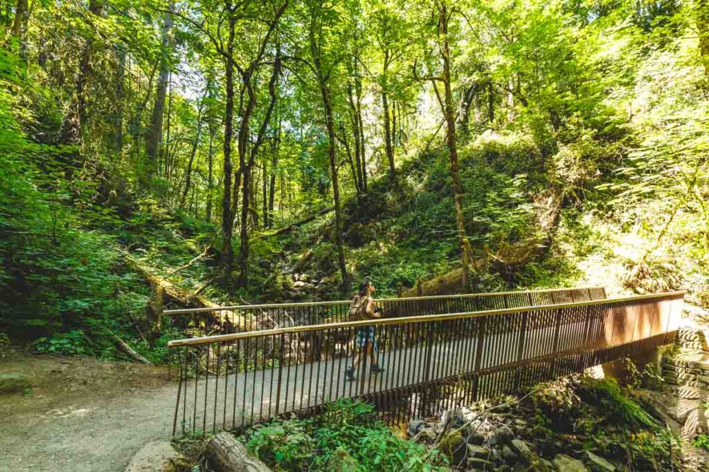 8 Top Hikes in Forest Park in Portland - AA1qzv5U.img