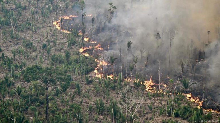 Amzônia foi o bioma mais afetado pelos incêndios deste ano no Brasil