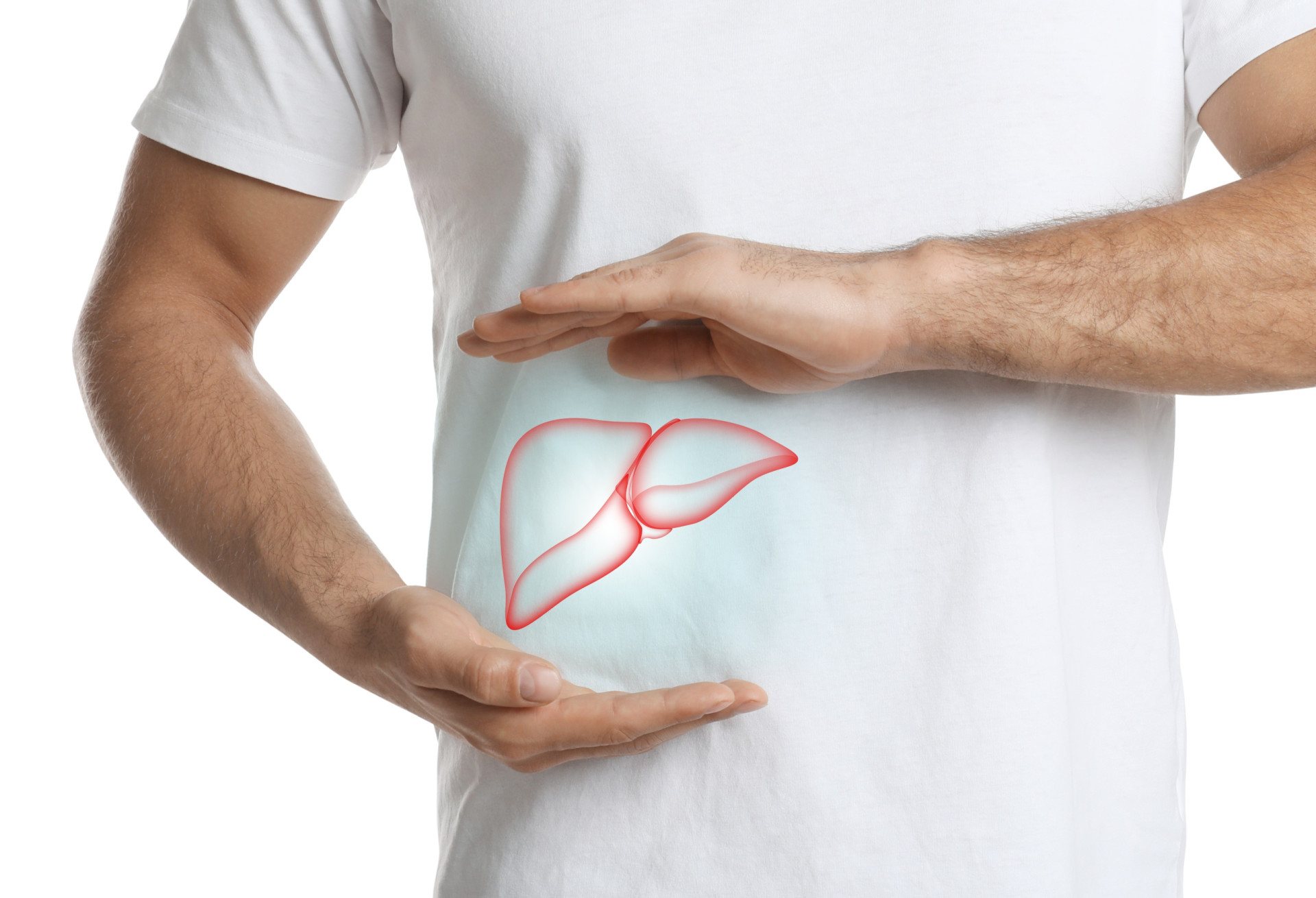 Hierbas que Promueven la Desintoxicación Hepática: Un Enfoque Natural para la Salud del Hígado