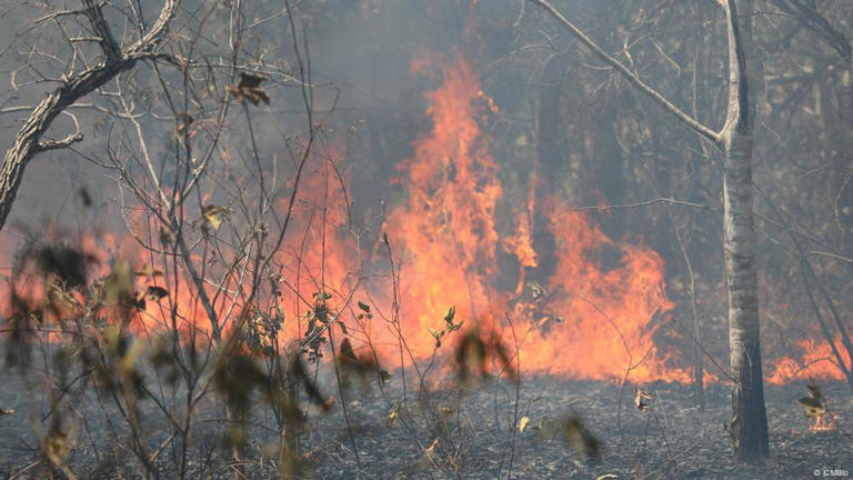 Seca histórica contribuiu para avanço das queimadas no Brasil.