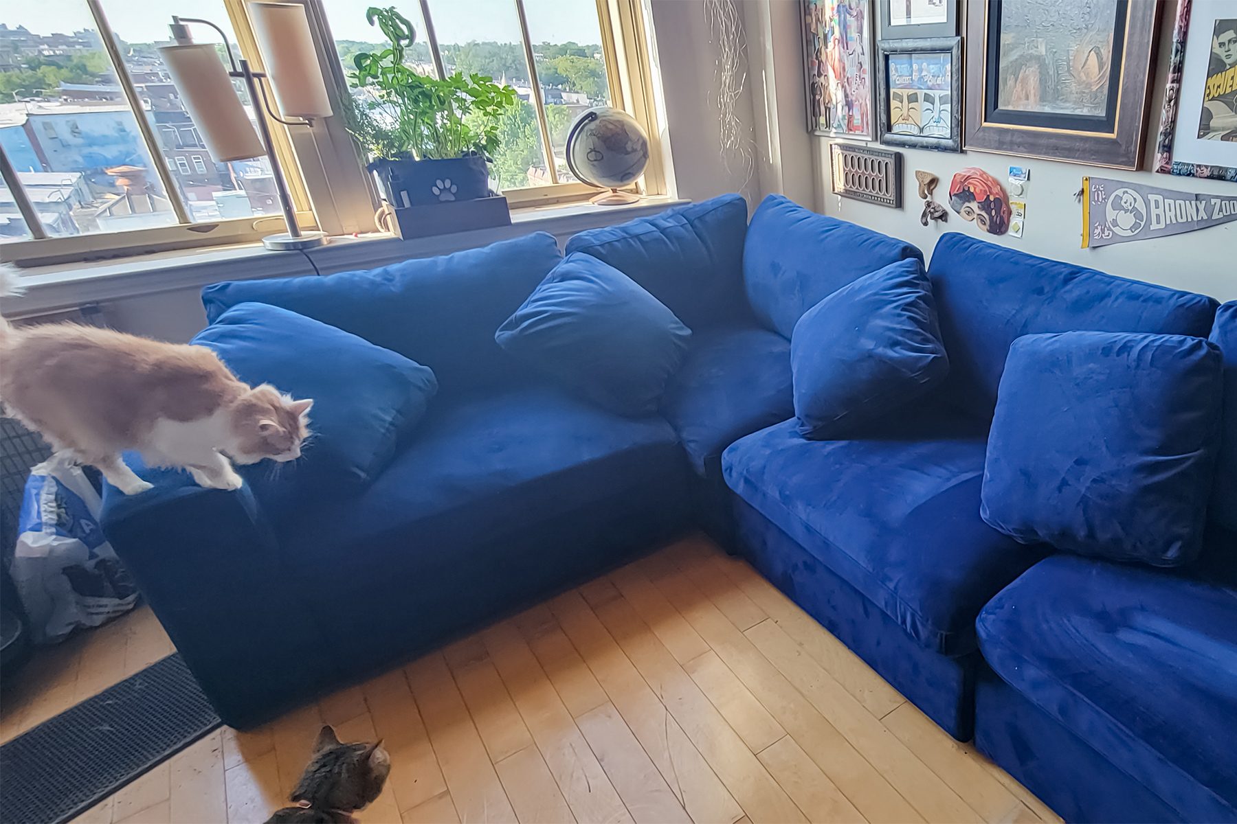 7 Best Cat-Proof Couches, Tested And Reviewed By Our Team’s Felines