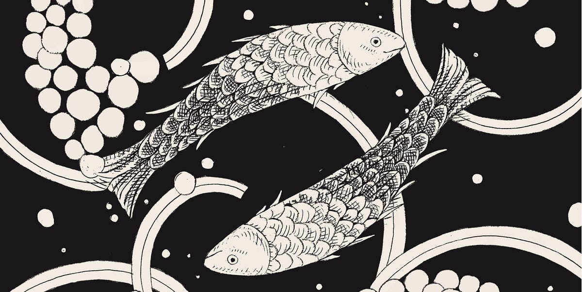 Pisces Daily Horoscope