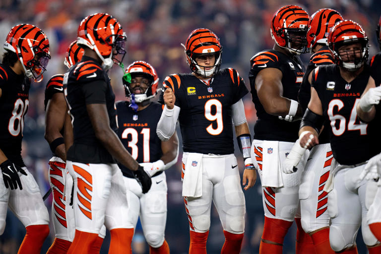 Bengals vs Panthers odds, expert predictions