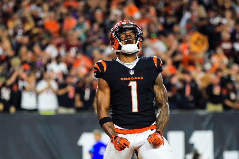Bengals make roster moves with injured defensive players