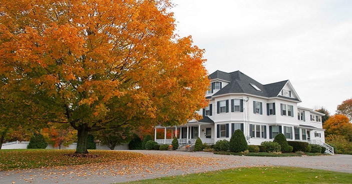 Video: China's humanoid robots perform synced dance using motion ...