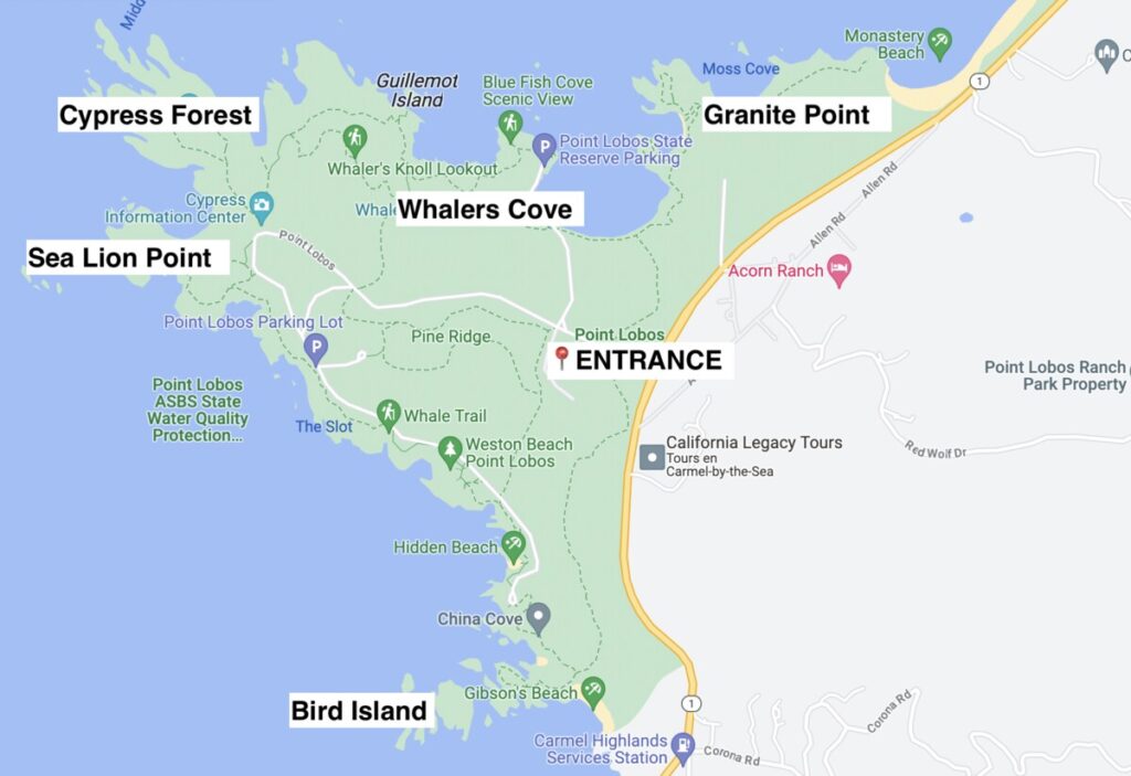 Point Lobos Hike One of The Best - AA1rA7Sw.img