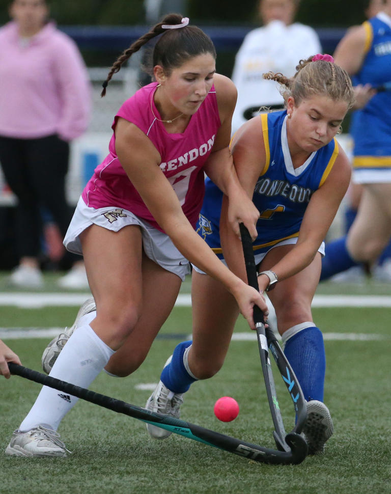 Section V field hockey scores for the 2024 season Section V field hockey scores for the 2024 season