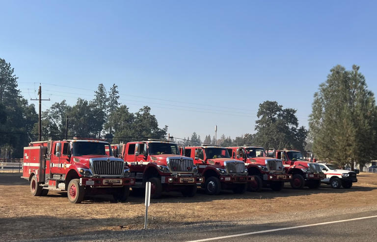 Cal Fire and Corning Land and Cattle plan rangeland burn