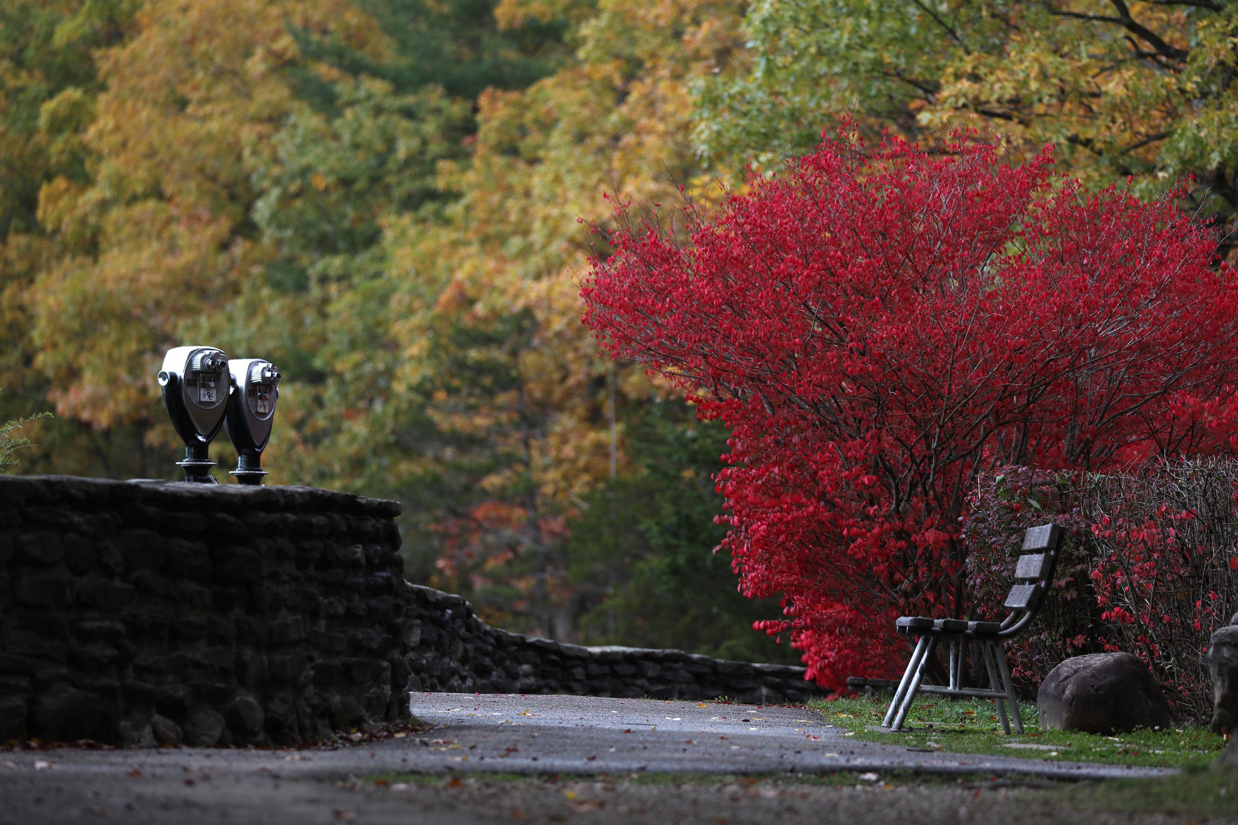 World Atlas Names 9 NY Towns In The Finger Lakes With Vibrant Downtown ...