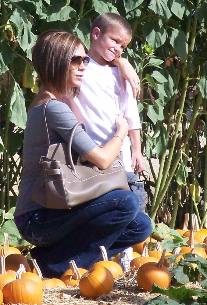 Tv Shows That Can Help You Learn English