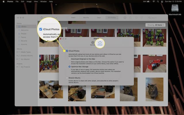 The iCloud Photos setting in the Photos app on a Mac.