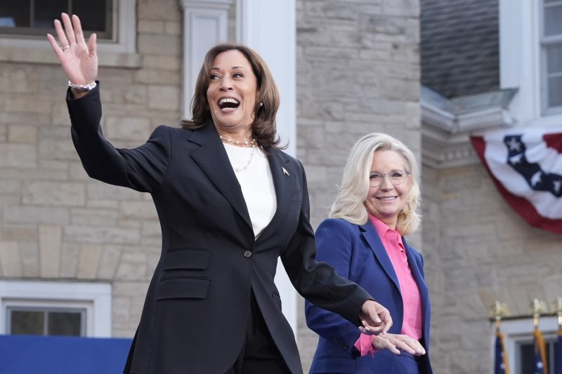 Liz Cheney Endorses Vice President Kamala Harris