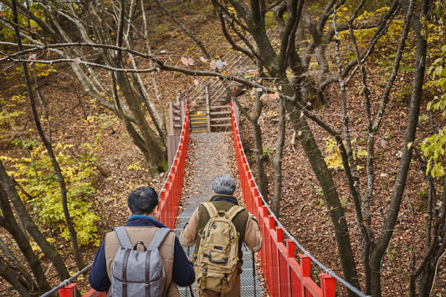 무릎만 아프고 건강에 별 도움 안 된다고요? ‘하산’ 때 혈당·근육 좋아집니다