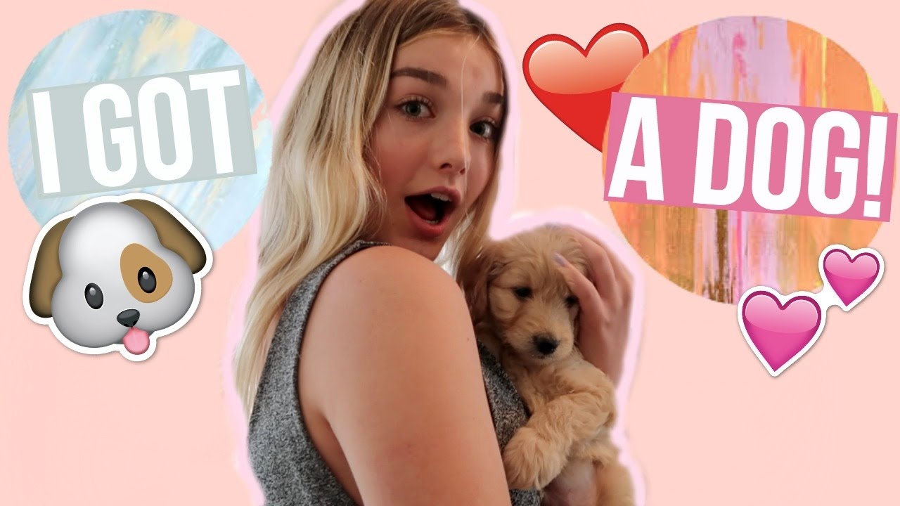 Adopting a Dog Changed My Life Completely