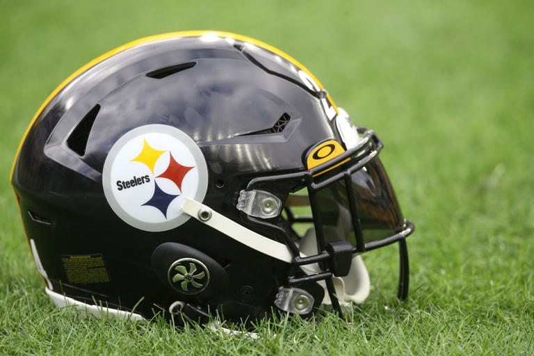 Steelers lose receiver for season