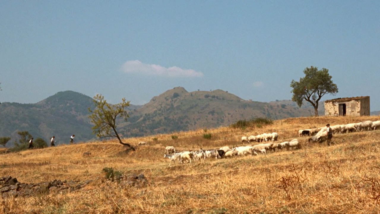 4 61 VON 5 STERNEN DAS IST DIE BESTE KOM DIE ALLER ZEITEN LAUT DEN visual data 6