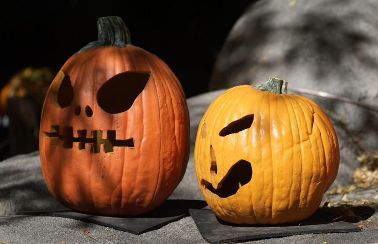 Missouri Sex Offenders No Longer Required To Post Halloween Warning Signs Federal Judge Rules 2247