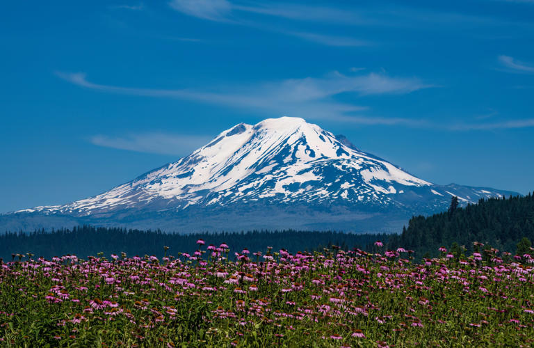 Earthquakes in washington