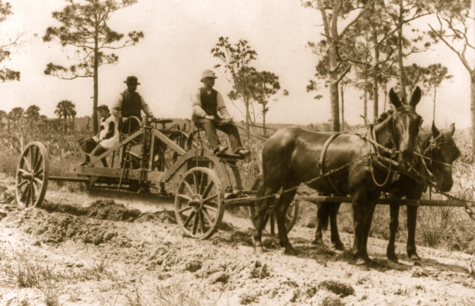 Rare 19th-century photos that reveal Florida's earliest days