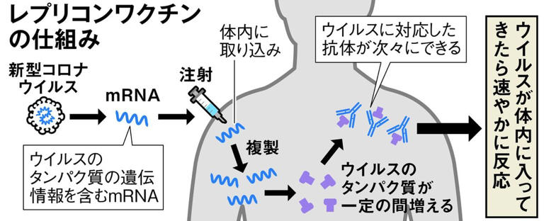 レプリコンワクチンの仕組み