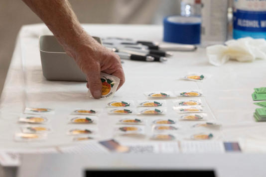 A voter picks up a voting sticker during Georgia's primary election at Morningside Presbyterian Church in Atlanta in May. Donald Trump and Kamala Harris are locked in a tight race to win the battleground state. Photo: Reuters