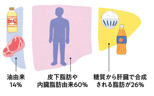 日本人の3分の1が脂肪肝という時代、肝臓をケアして痩せ体質になる生活習慣7カ条。