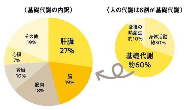 日本人の3分の1が脂肪肝という時代、肝臓をケアして痩せ体質になる生活習慣7カ条。