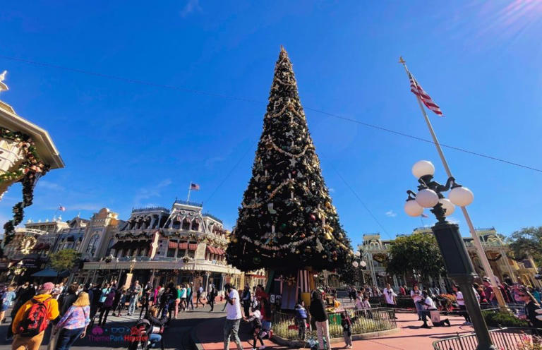 Solo in Florida for the holidays? Here are the most fun & festive ...