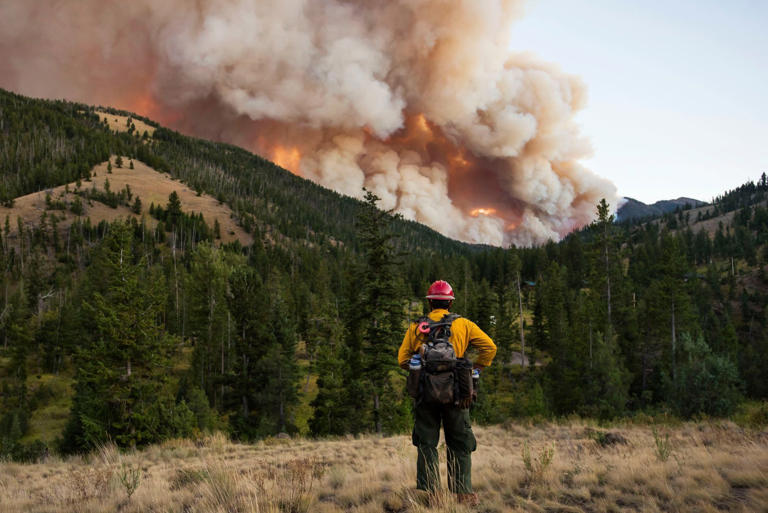 Massive Wildfire in Wyoming Expands to Over 75,000 Acres